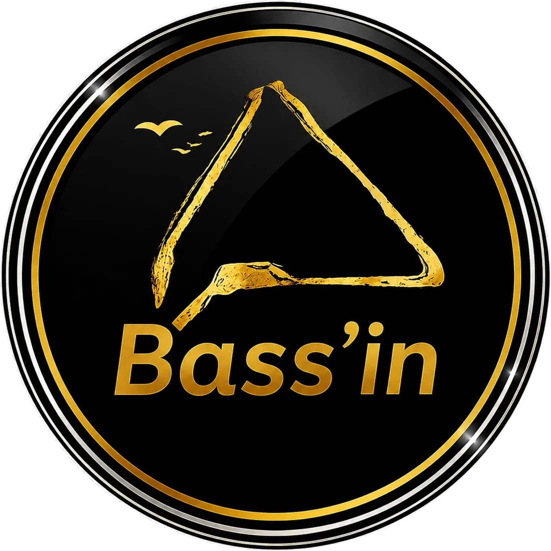 Aperçu du projet Bass’in — Plateforme web du Bassin d’Arcachon
